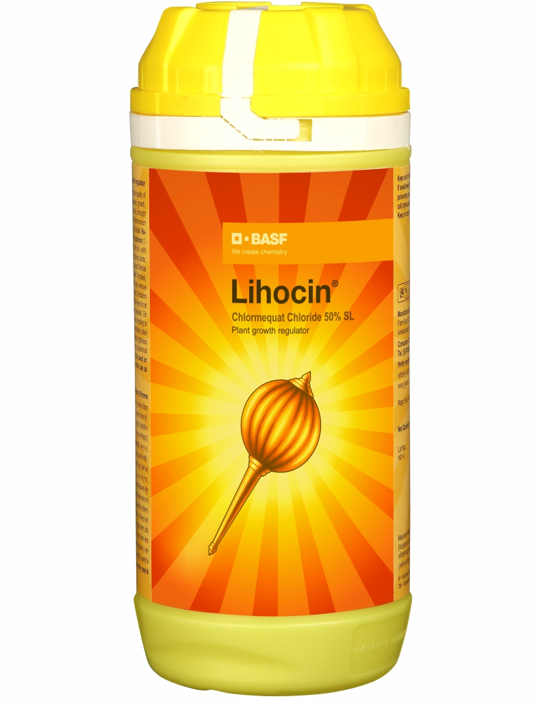 Lihocin