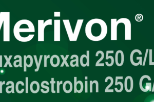 Merivon